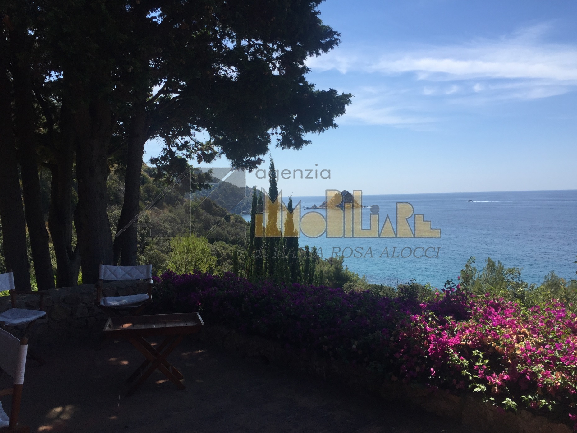 Porto Santo Stefano Villa Con Alberi Porto Santo Stefano Villa Con Alberi